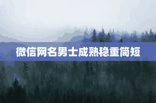 微信网名男士成熟稳重简短(微信网名男士成熟稳重简短霸气)